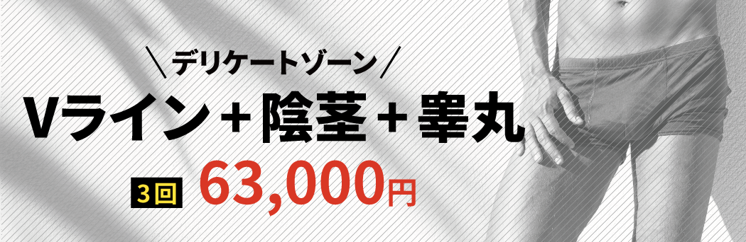 Vライン+陰茎+睾丸